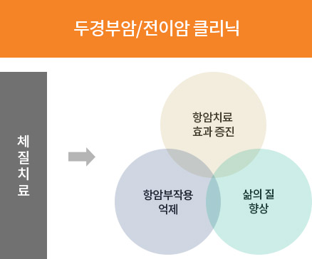 두경부암/전이암 클리닉 체질치료 항암치료 효과증진 항암부작용 억제 삶의 질 향상